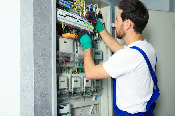 Best Electrical Troubleshooting Services  in De Pue, IL