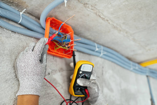 Best Electric Panel Repair  in De Pue, IL